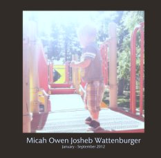 Micah Owen Josheb Wattenburger book cover