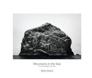 Mountains in the Sea book cover