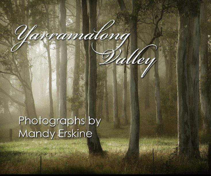 View Yarramalong Valley by Mandy Erskine