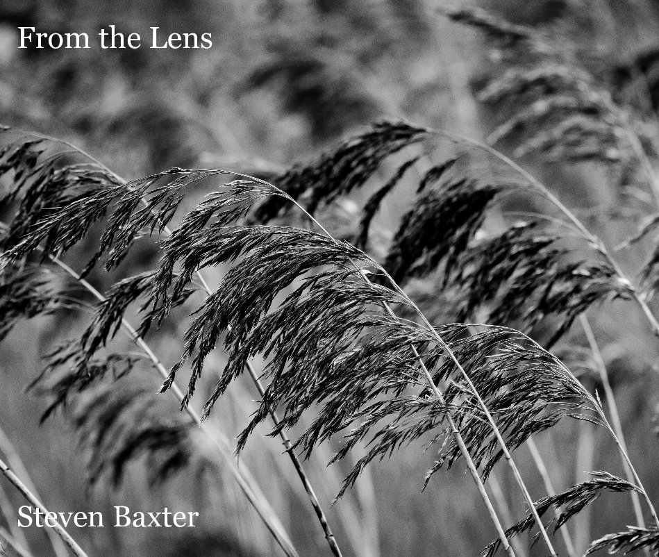 View From the Lens by Steven Baxter