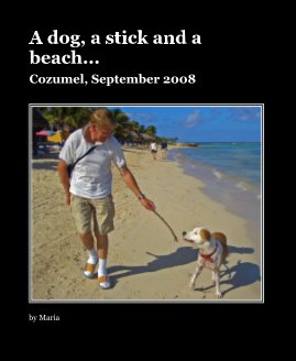 A dog, a stick and a beach... book cover