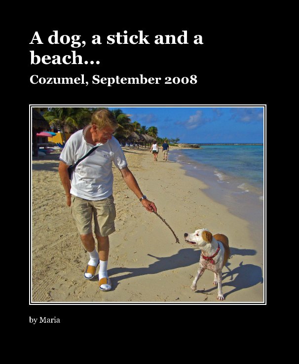 View A dog, a stick and a beach... by Maria