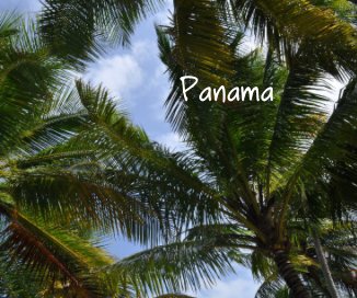 Panama book cover