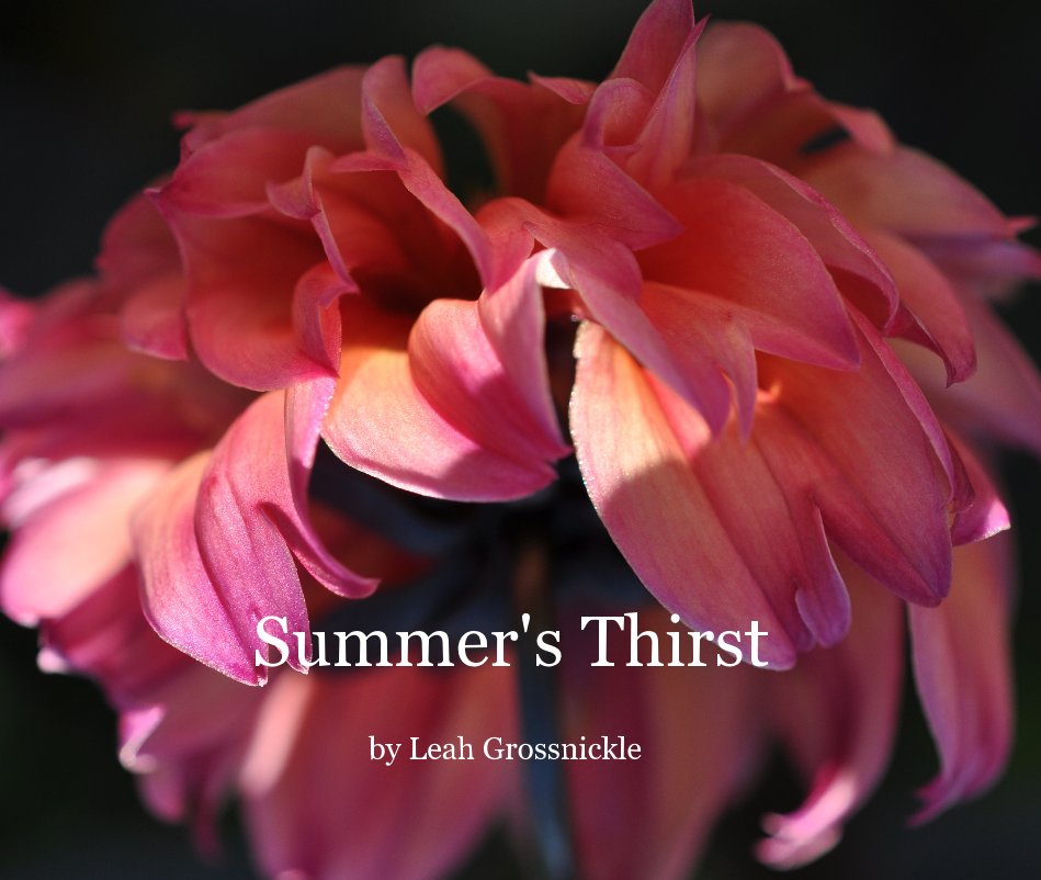 View Summer's Thirst by Leah Grossnickle