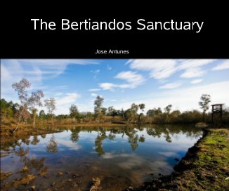 The Bertiandos Sanctuary book cover