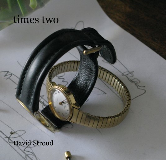 Ver times two por David Stroud
