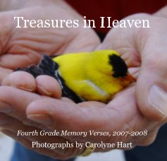 Treasures in Heaven book cover