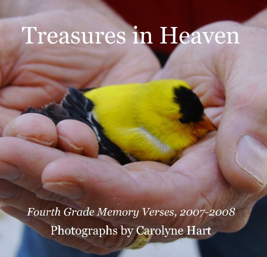 View Treasures in Heaven by Carolyne Hart