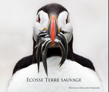 Écosse Terre sauvage book cover