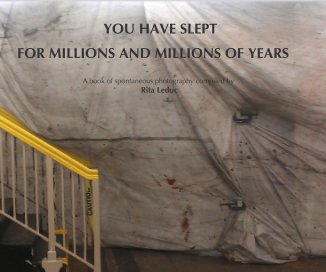 YOU HAVE SLEPT book cover