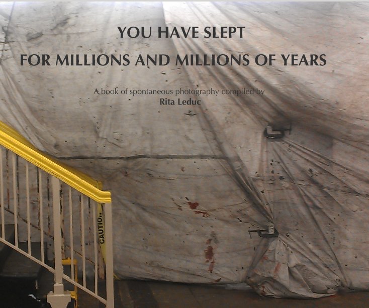 View YOU HAVE SLEPT by A book of spontaneous photography compiled by Rita Leduc