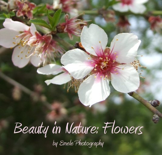 Visualizza Beauty in Nature: Flowers di Emele Photography