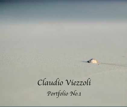 Claudio Viezzoli Portfolio No.1 book cover