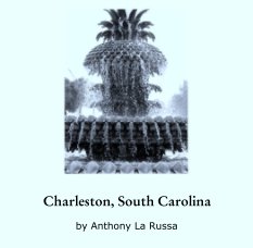 Charleston, South Carolina book cover
