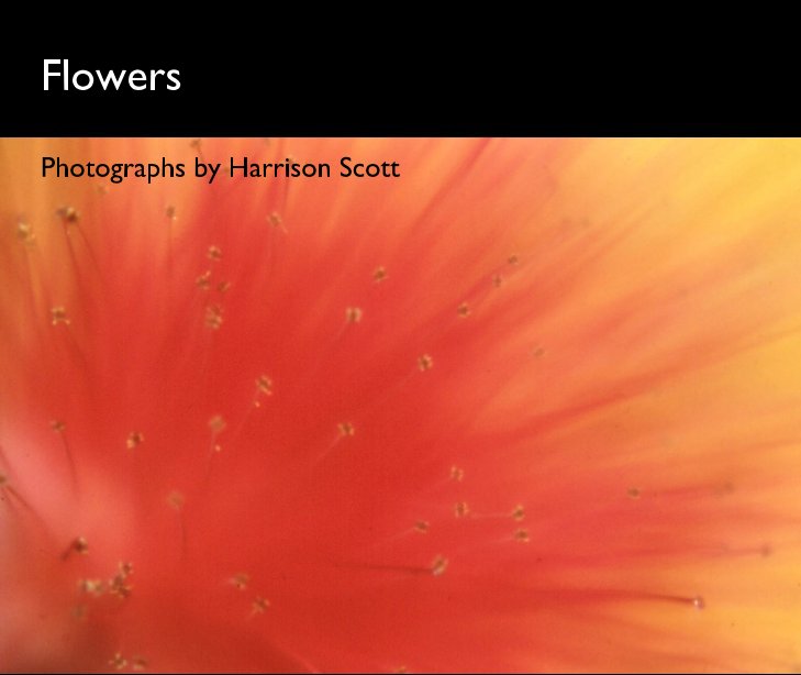 View Flowers by Harrison Scott