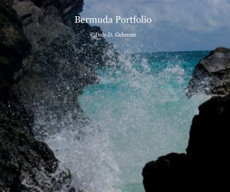 Bermuda Portfolio book cover