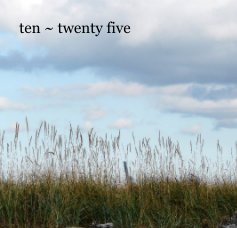 ten ~ twenty five book cover