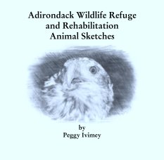 Adirondack Wildlife Refuge
and Rehabilitation
Animal Sketches book cover
