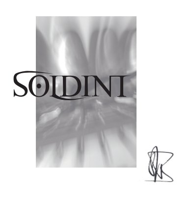 SOLDINI  2012 book cover