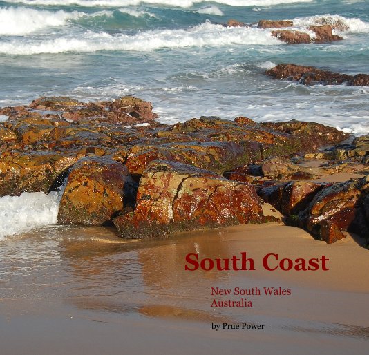 View South Coast by Prue Power
