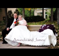 Amanda and James book cover