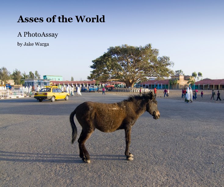 View Asses of the World (2.0) by Jake Warga