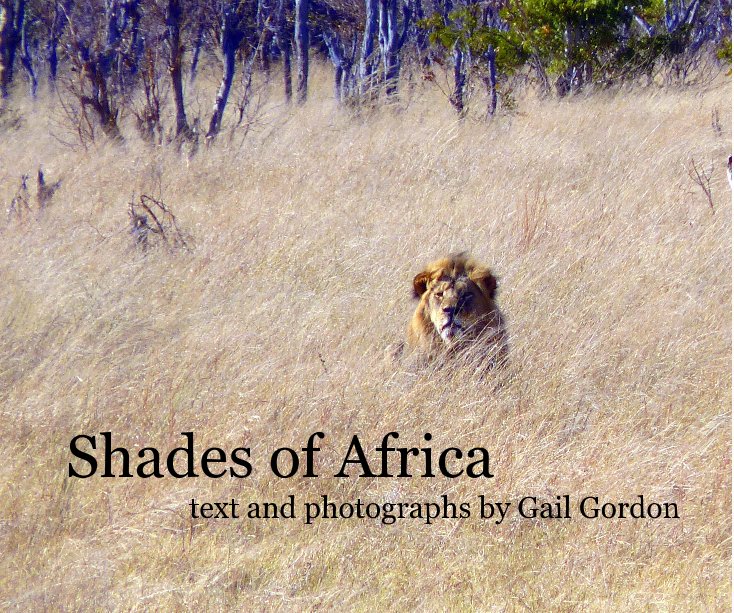 Shades of Africa text and photographs by Gail Gordon nach Gail Gordon anzeigen