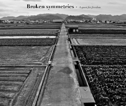 Broken symmetries - A quest for freedom book cover