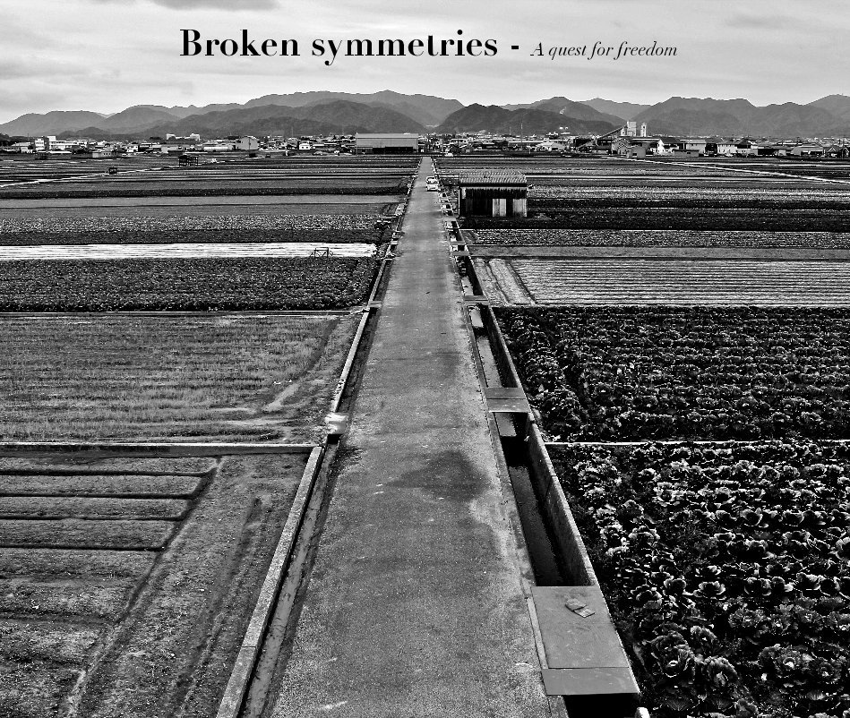 View Broken symmetries - A quest for freedom by Giancarlo Russo