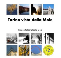 Torino vista dalla Mole book cover