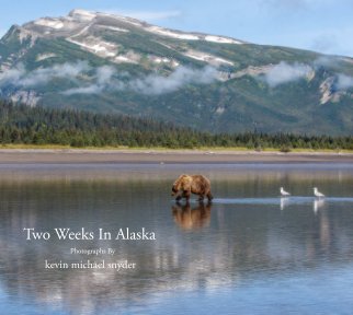 Two Weeks In Alaska book cover