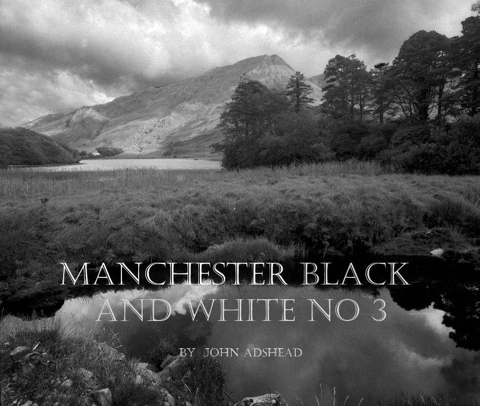 Bekijk Manchester Black and White No 3 op John Adshead