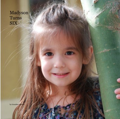 Madyson Turns SIX book cover