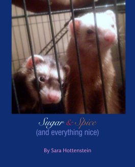 Sugar & Spice (and everything nice) book cover