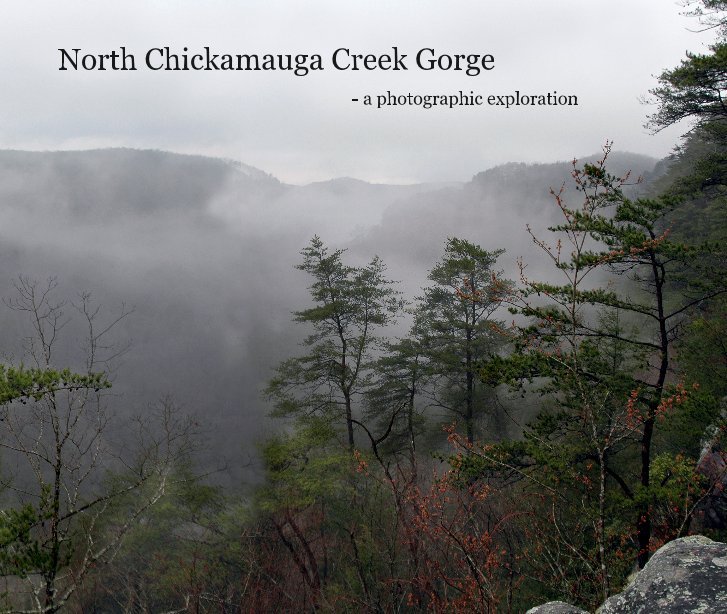 View North Chickamauga Creek Gorge by Scott Shoup