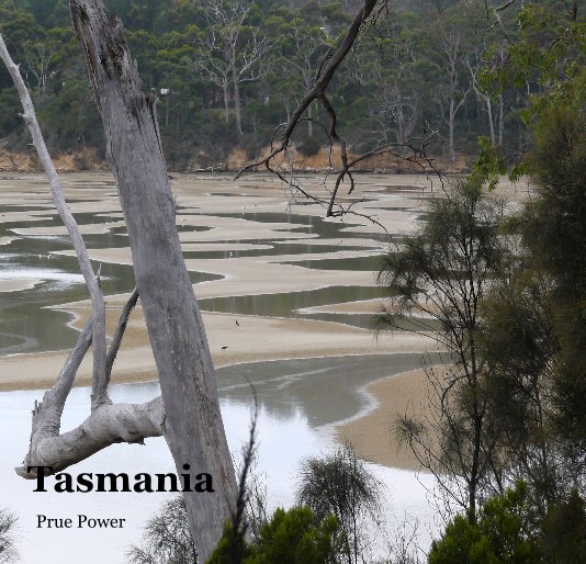 View Tasmania by Prue Power