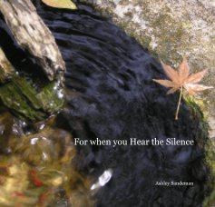 For when you Hear the Silence book cover