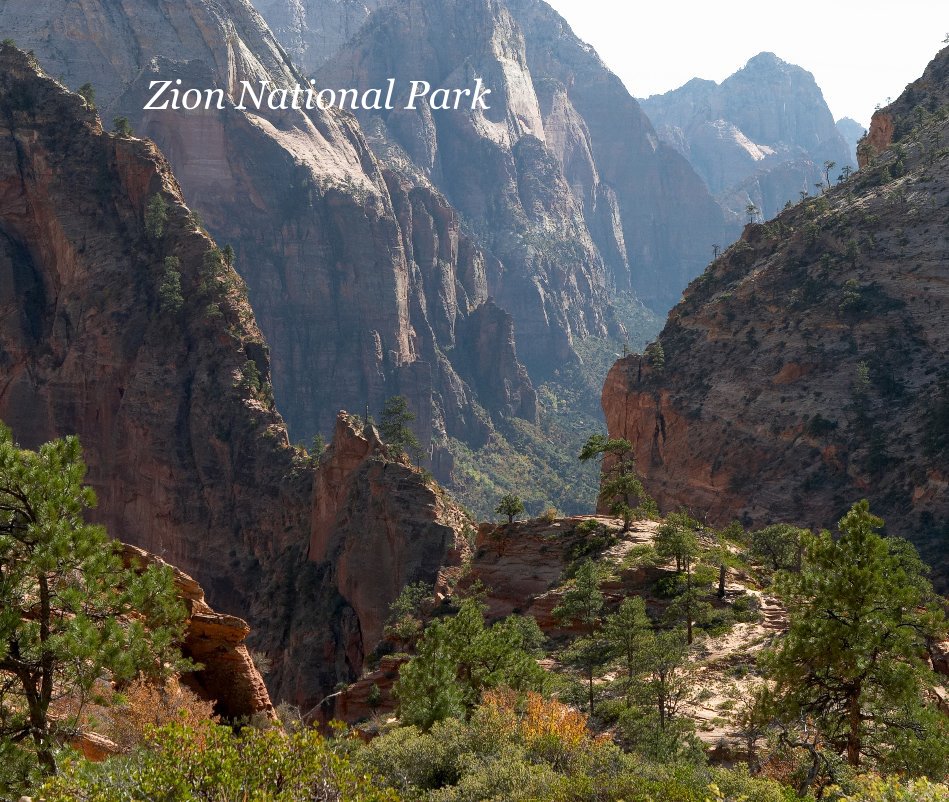 View Zion National Park by Doug