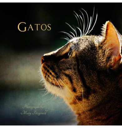 Gatos book cover