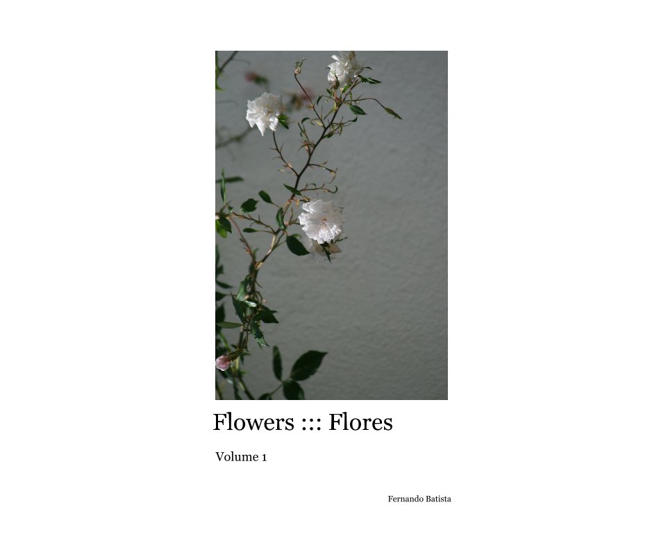 Ver Flowers ::: Flores por Fernando Batista