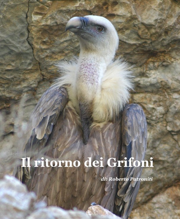 Bekijk Il ritorno dei Grifoni op di: Roberto Patroniti