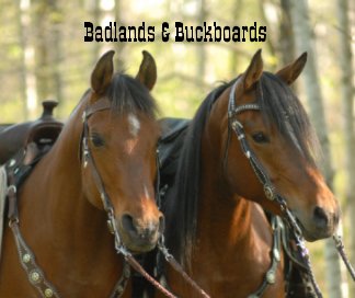 Badlands & Buckboards book cover