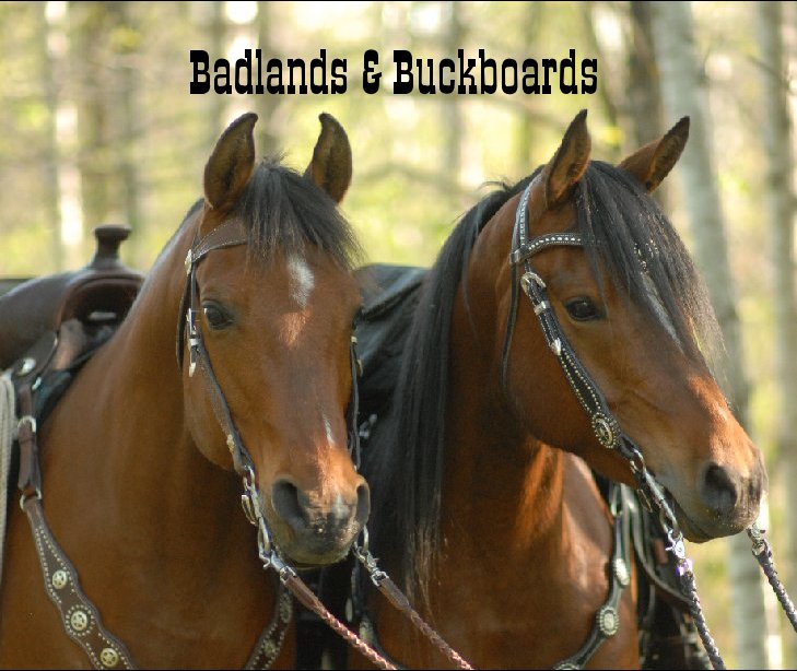 View Badlands & Buckboards by WestWind