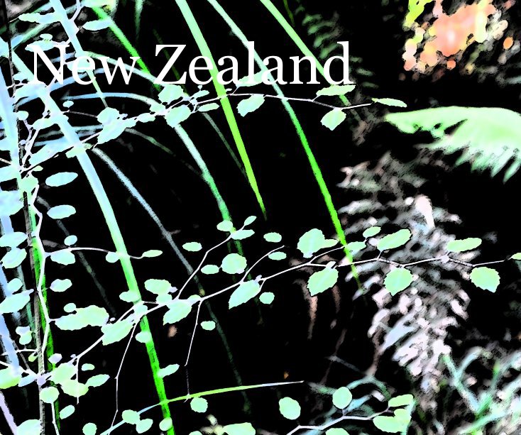 View New Zealand by James Allen