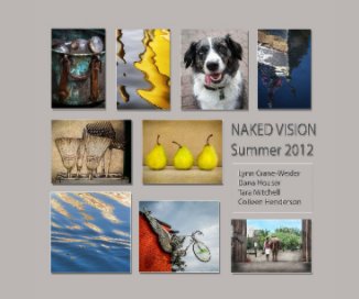 Naked Vision 2012 book cover