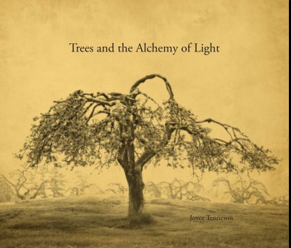 Trees and the Alchemy of Light book cover