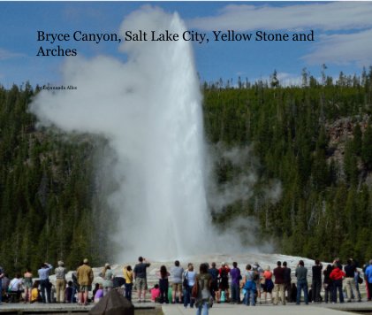 Bryce Canyon, Salt Lake City, Yellow Stone and Arches book cover