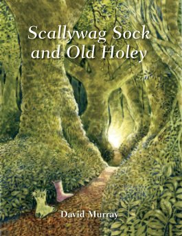 Scallywag and Old Holey book cover