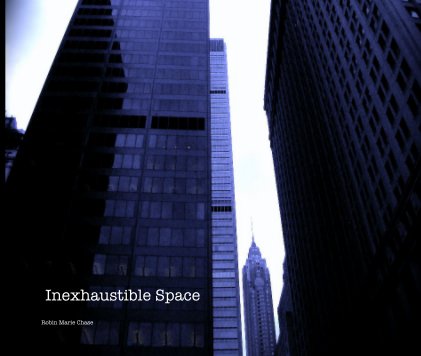 Inexhaustible Space book cover