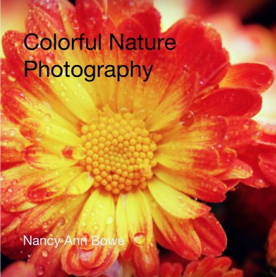 Colorful Nature
Photography book cover